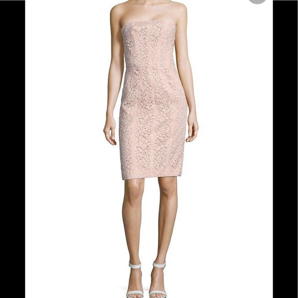 Corded Lace Sheath J. Mendel  color Blush - Picture 1 of 10